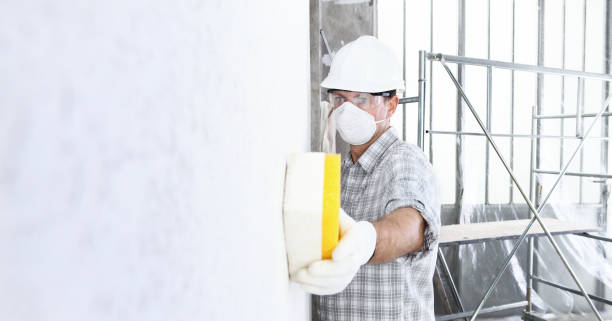 Why You Should Choose Our Mold Remediation Services in White Haven, PA